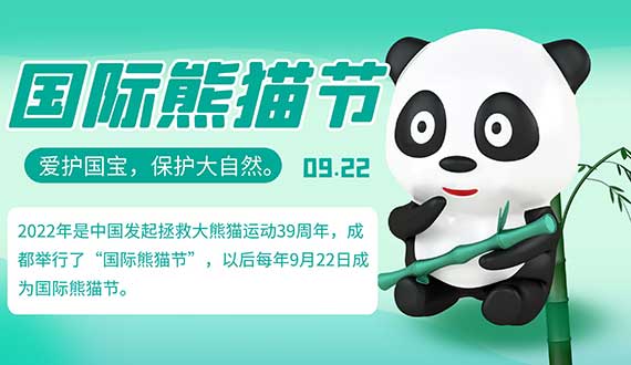 大熊猫踏歌起舞中国西北音乐节熊猫将